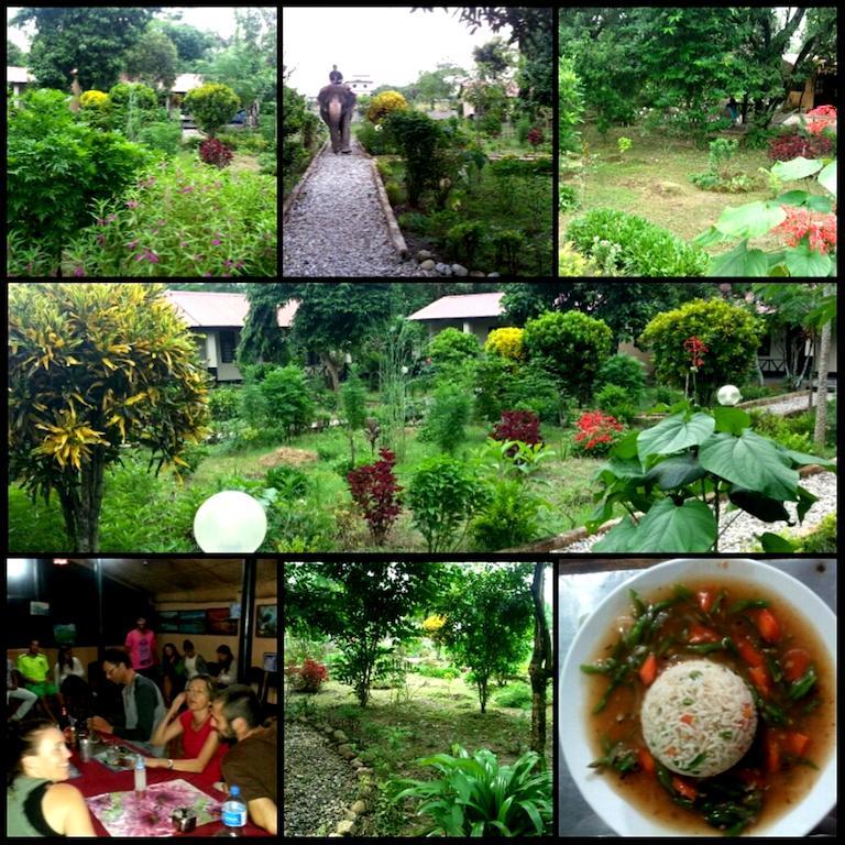 Chitwan Safari Camp & Lodge Sauraha Bagian luar foto