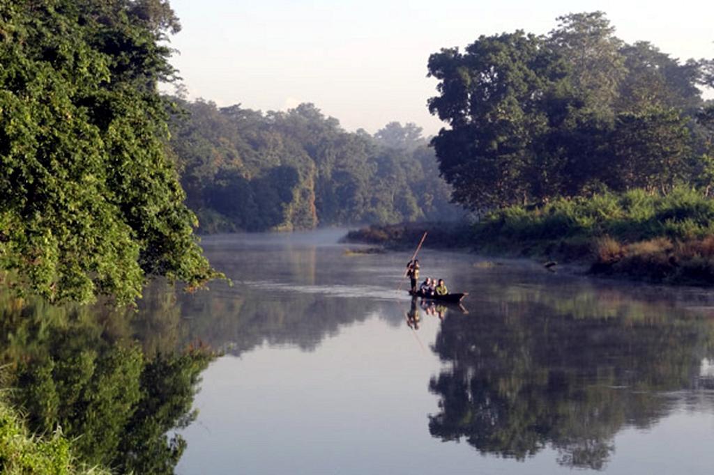 Chitwan Safari Camp & Lodge Sauraha Bagian luar foto