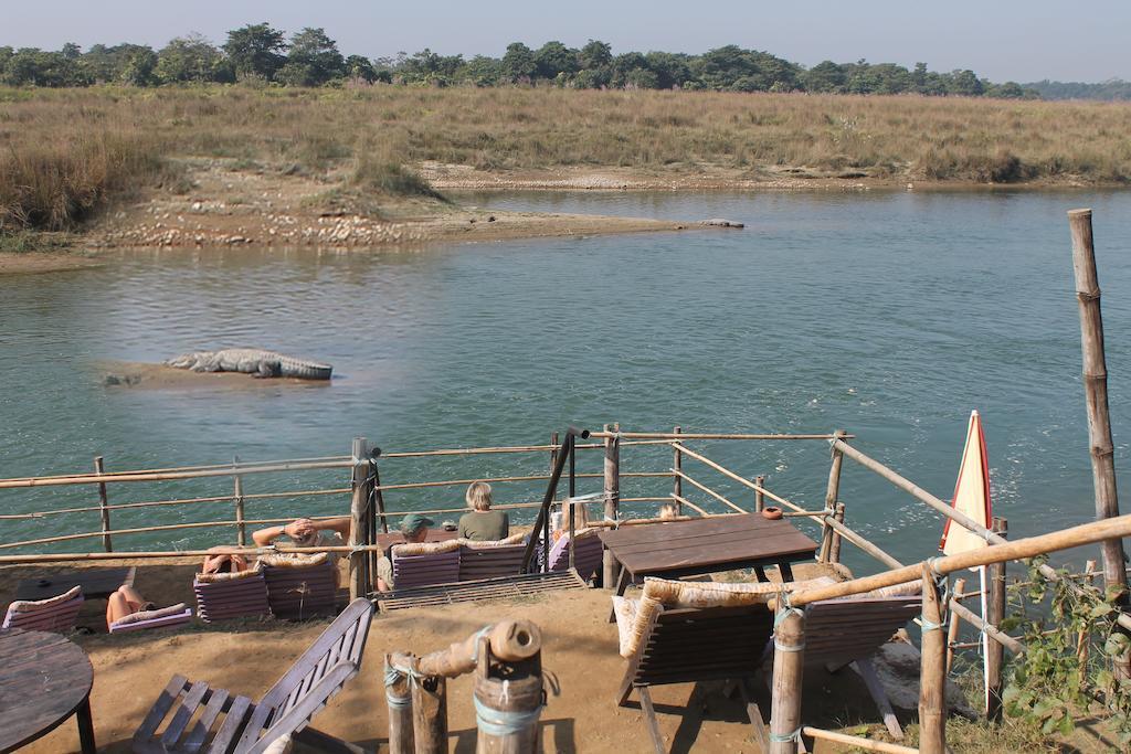 Chitwan Safari Camp & Lodge Sauraha Bagian luar foto