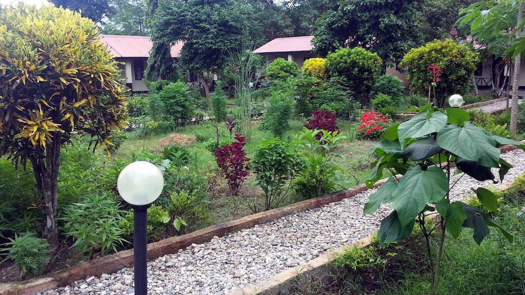 Chitwan Safari Camp & Lodge Sauraha Bagian luar foto