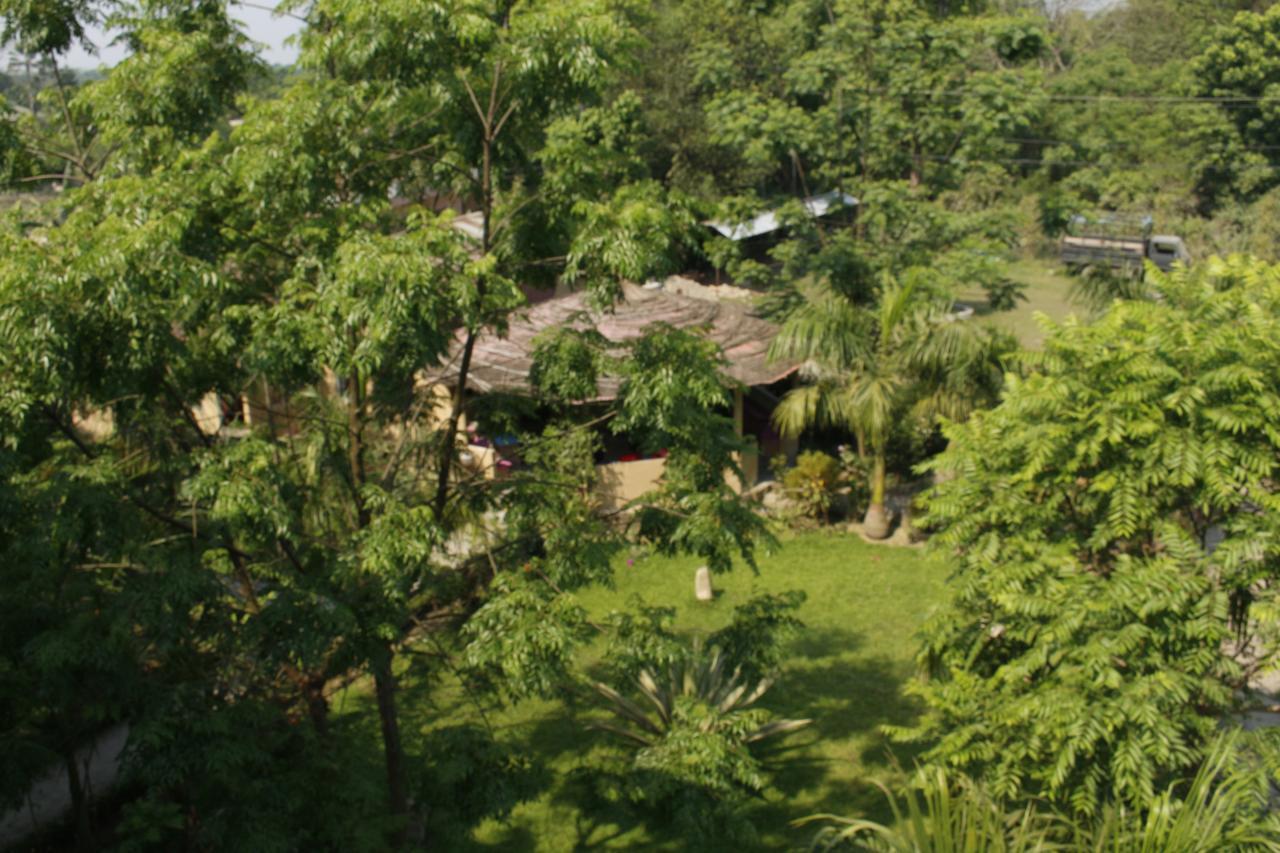 Chitwan Safari Camp & Lodge Sauraha Bagian luar foto