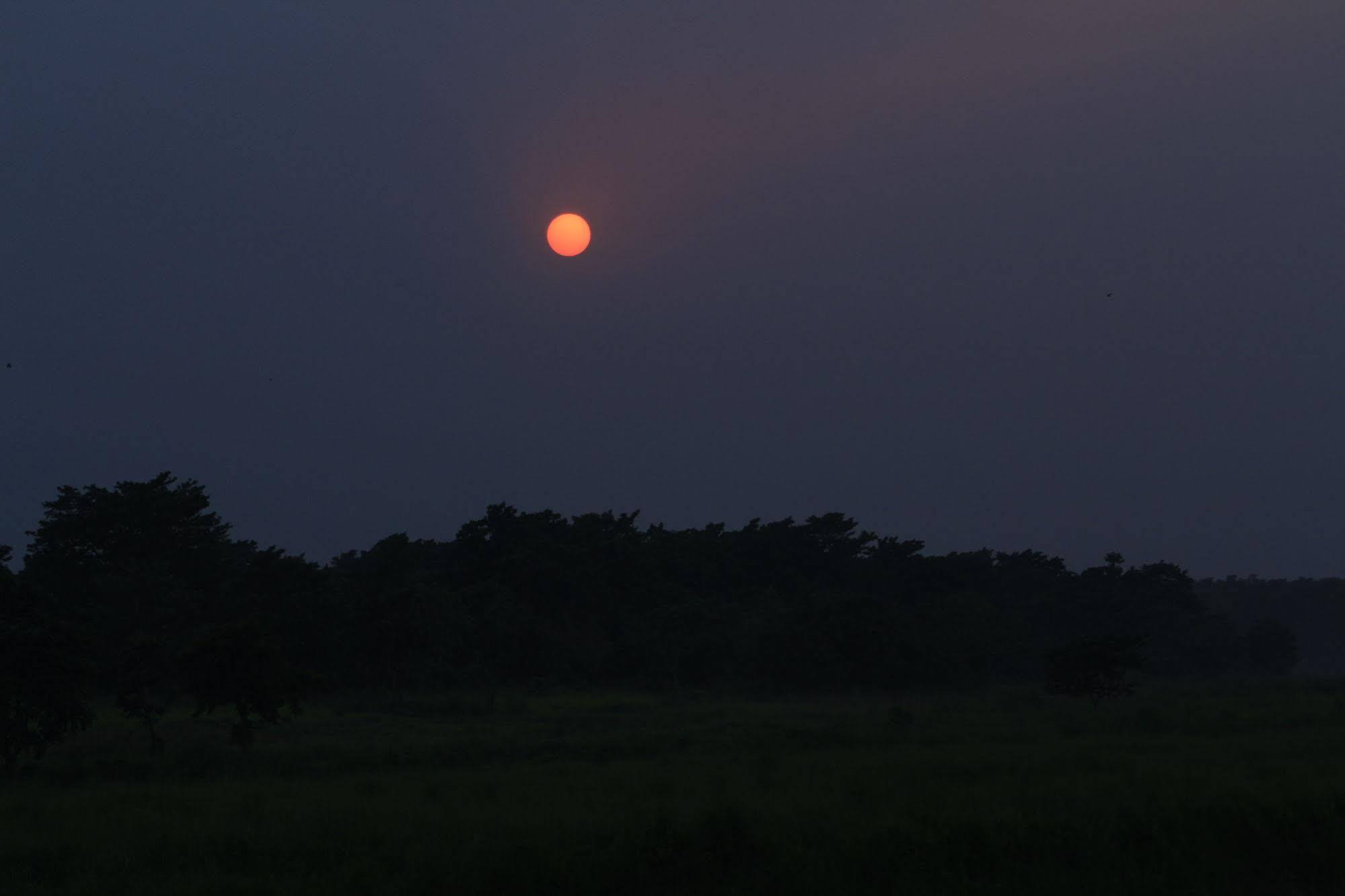 Chitwan Safari Camp & Lodge Sauraha Bagian luar foto