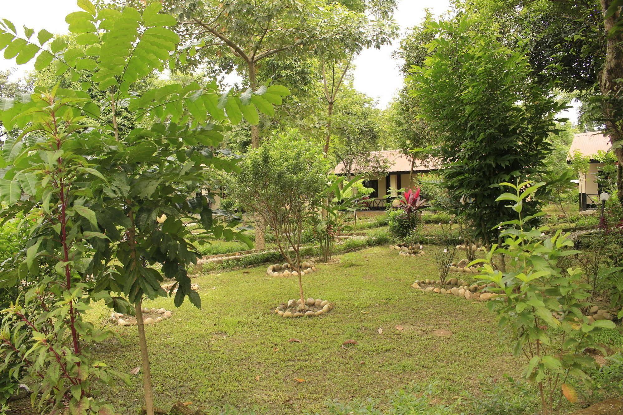 Chitwan Safari Camp & Lodge Sauraha Bagian luar foto