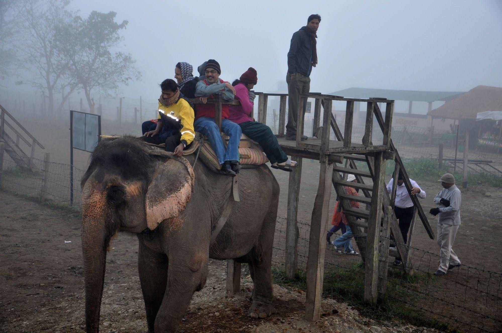 Chitwan Safari Camp & Lodge Sauraha Bagian luar foto